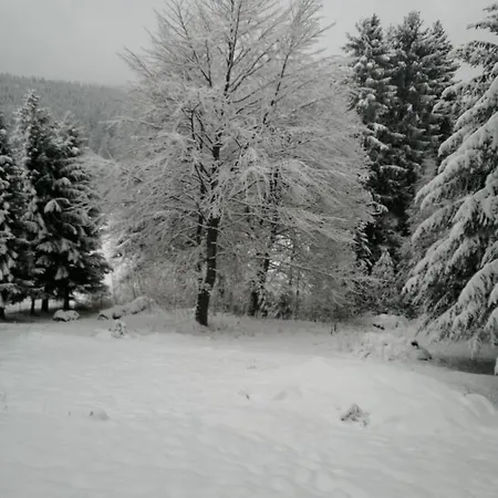 Am Fritzschberg Daire